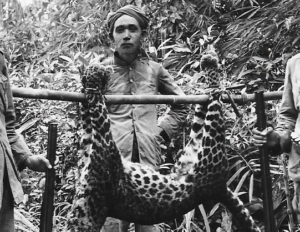 Oey Joe Pian met luipaard hoofdfoto